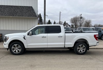 2023 Ford F-150 Platinum