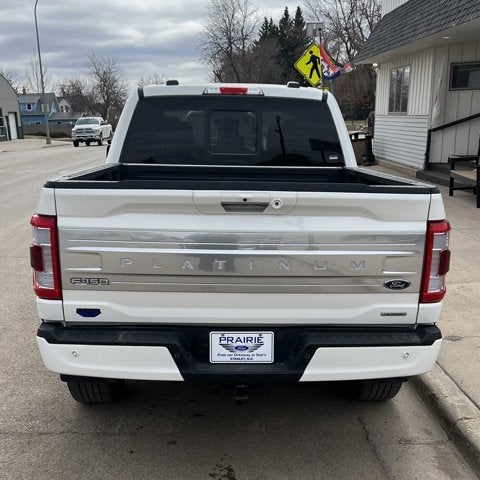 2023 Ford F-150 Platinum